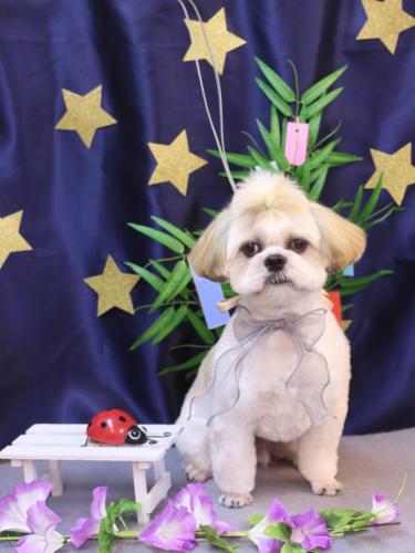 20230727ララくん